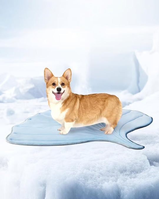 🧊 50% OFF TODAY! 🐶 Dog Cooling Mat (4X Cooling Effect) ✨ Instant Heat Relief &amp; All-Day Summer Comfort for Pets ☀️🐾