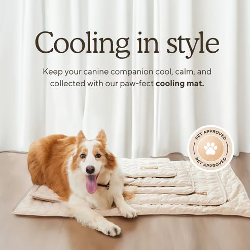 🧊 50% OFF TODAY! 🐶 Dog Cooling Mat (4X Cooling Effect) ✨ Instant Heat Relief &amp; All-Day Summer Comfort for Pets ☀️🐾