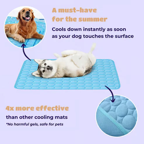 🧊 50% OFF TODAY! 🐶 Dog Cooling Mat (4X Cooling Effect) ✨ Instant Heat Relief &amp; All-Day Summer Comfort for Pets ☀️🐾