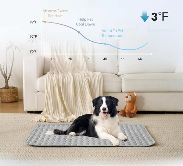 🧊 50% OFF TODAY! 🐶 Dog Cooling Mat (4X Cooling Effect) ✨ Instant Heat Relief &amp; All-Day Summer Comfort for Pets ☀️🐾