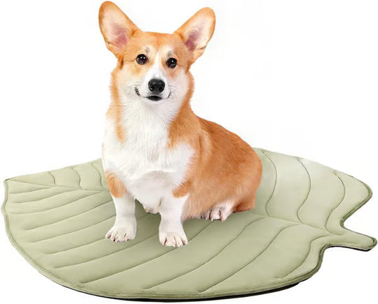 🧊 50% OFF TODAY! 🐶 Dog Cooling Mat (4X Cooling Effect) ✨ Instant Heat Relief &amp; All-Day Summer Comfort for Pets ☀️🐾