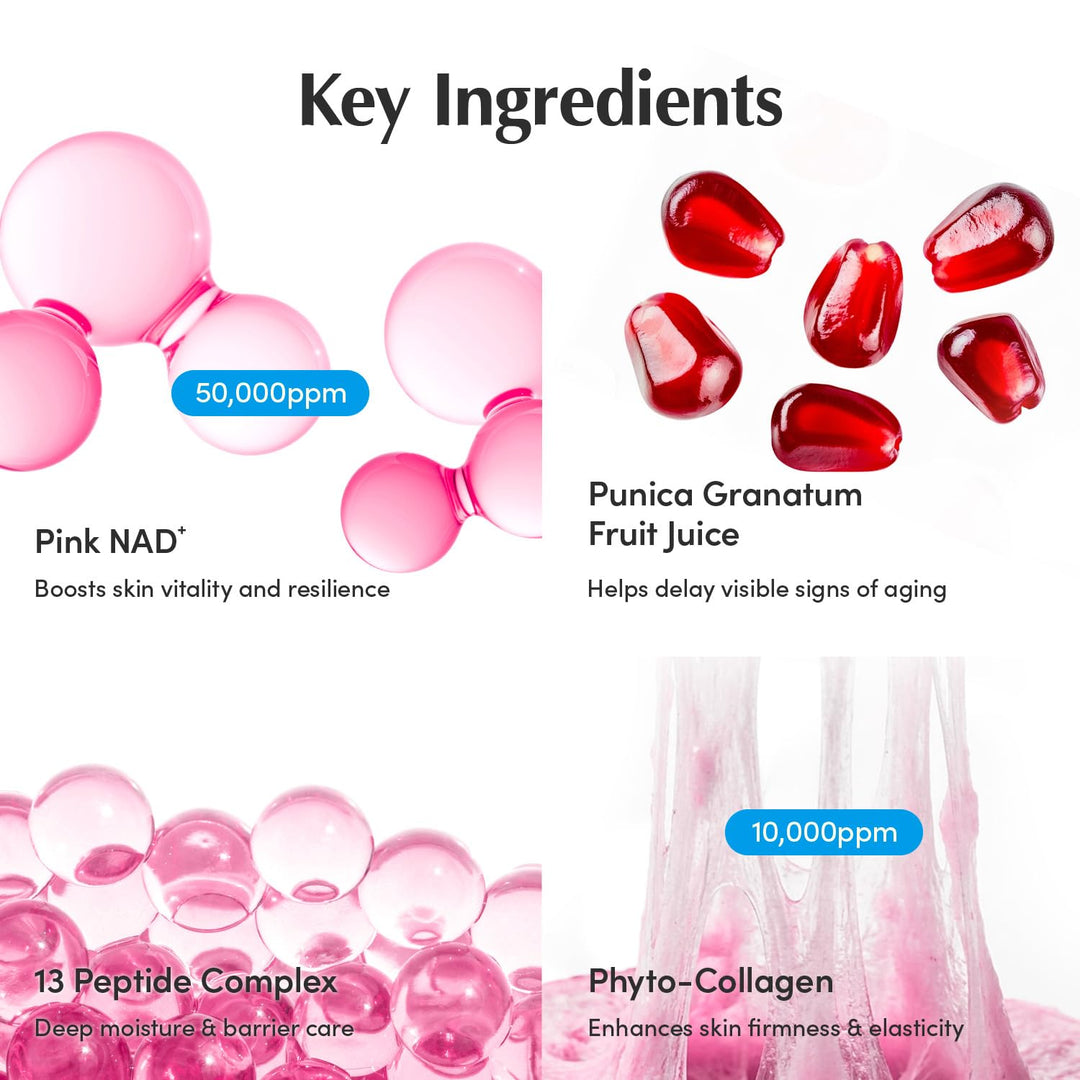 EQUALBERRY NAD+ Peptidový krém pro zvýšení hladiny NAD+ 5% &amp;  13 peptidů proti stárnutí korejské péče o pleť obličeje &amp;  Tělový krém | Zpevňující &amp;  Liftingový krém na krk Pink pro povadlou pleť (1,69 fl.oz /50ml)