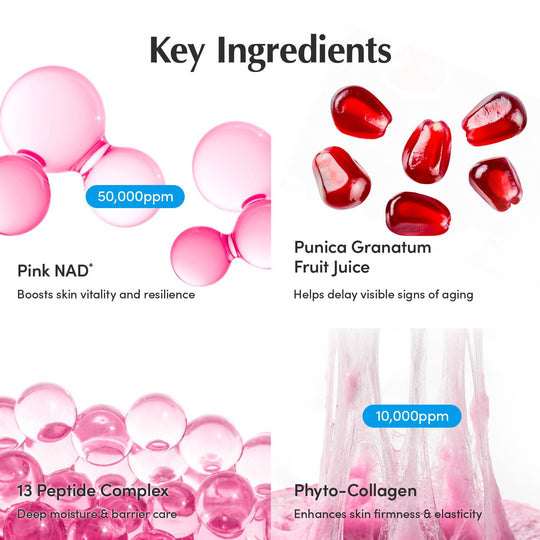 EQUALBERRY NAD+ Peptidový krém pro zvýšení hladiny NAD+ 5% &amp;  13 peptidů proti stárnutí korejské péče o pleť obličeje &amp;  Tělový krém | Zpevňující &amp;  Liftingový krém na krk Pink pro povadlou pleť (1,69 fl.oz /50ml)
