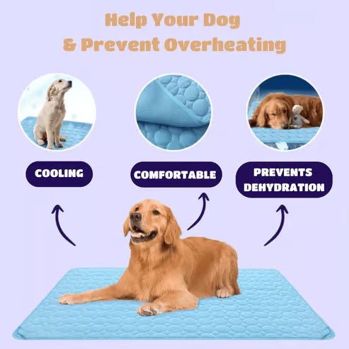 🧊 50% OFF TODAY! 🐶 Dog Cooling Mat (4X Cooling Effect) ✨ Instant Heat Relief &amp; All-Day Summer Comfort for Pets ☀️🐾