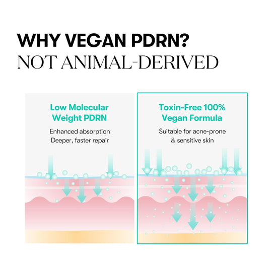 Kapsulový krém VT Cosmetics PDRN 100