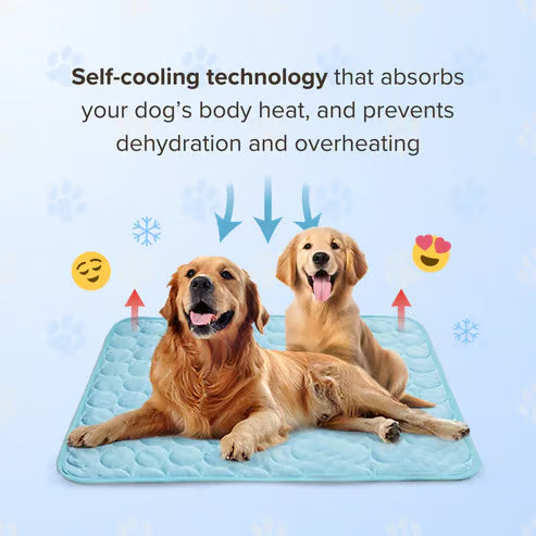 🧊 50% OFF TODAY! 🐶 Dog Cooling Mat (4X Cooling Effect) ✨ Instant Heat Relief &amp; All-Day Summer Comfort for Pets ☀️🐾
