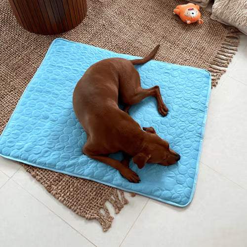 🧊 50% OFF TODAY! 🐶 Dog Cooling Mat (4X Cooling Effect) ✨ Instant Heat Relief &amp; All-Day Summer Comfort for Pets ☀️🐾