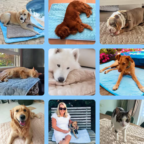 🧊 50% OFF TODAY! 🐶 Dog Cooling Mat (4X Cooling Effect) ✨ Instant Heat Relief &amp; All-Day Summer Comfort for Pets ☀️🐾