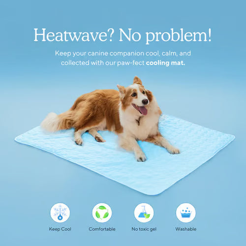 🧊 50% OFF TODAY! 🐶 Dog Cooling Mat (4X Cooling Effect) ✨ Instant Heat Relief &amp; All-Day Summer Comfort for Pets ☀️🐾