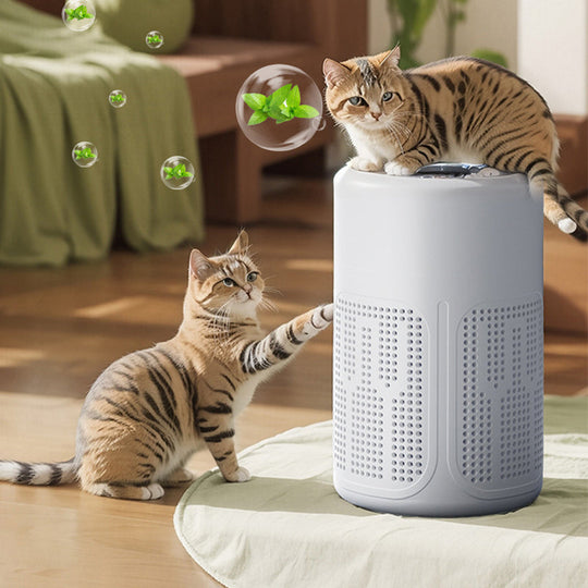 🌬️ 60% OFF NOW💧! 🔥 Compact home air purifier – 2026 bestseller – Quiet, energy-efficient, and perfect for allergy sufferers, dust, and pet hair 🏠